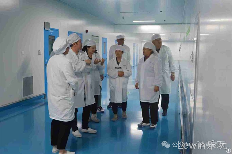 Lewin乐玩 (1) Lewin乐玩 (1)